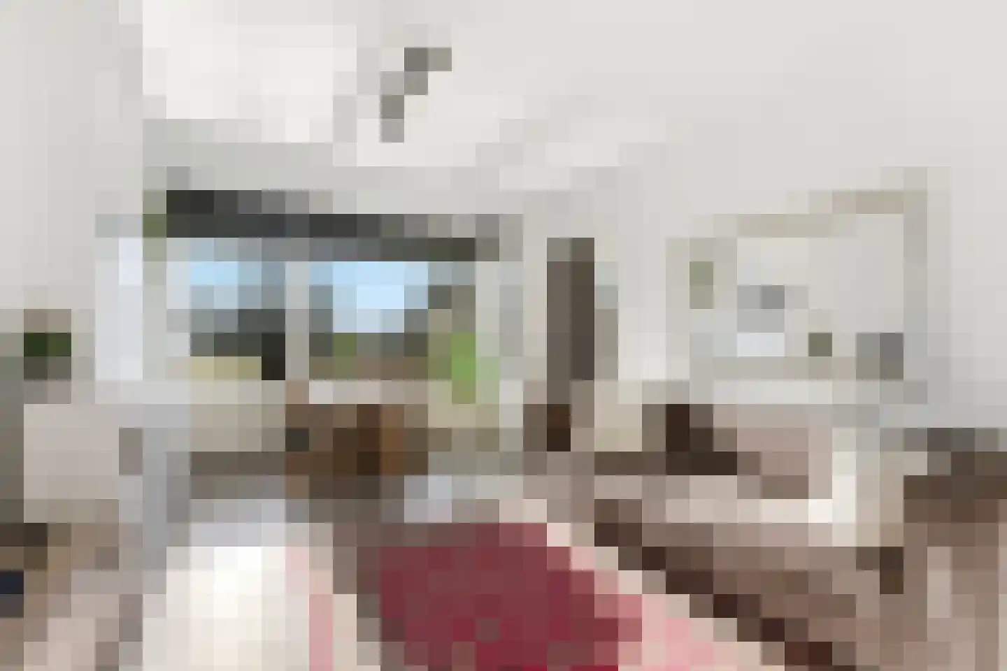 Meidoornsingel 97 B Rotterdam thumbnail 7