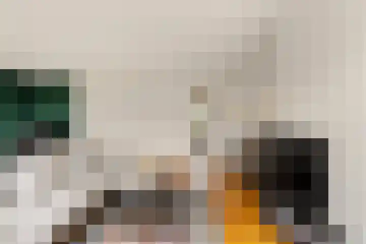 Meidoornsingel 97 B Rotterdam thumbnail 7