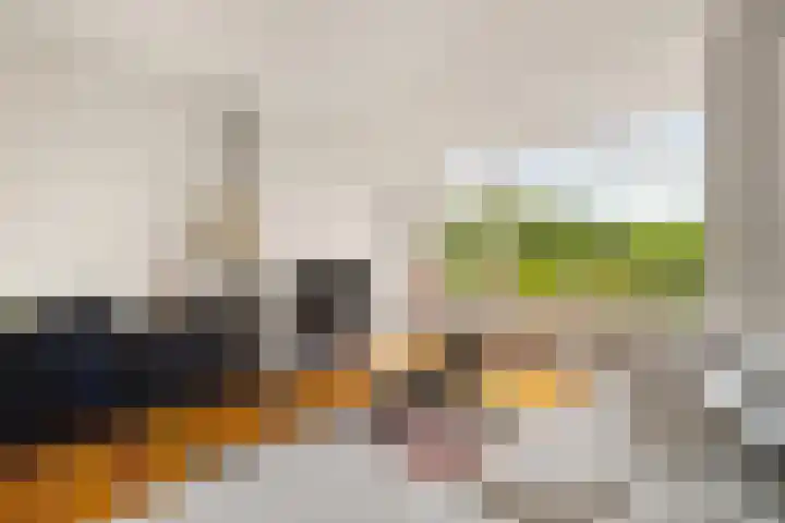 Meidoornsingel 97 B Rotterdam thumbnail 8