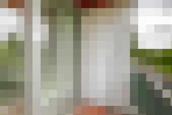 Meidoornsingel 99 C Rotterdam thumbnail 18