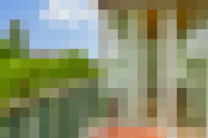 Meidoornsingel 99 C Rotterdam thumbnail 19