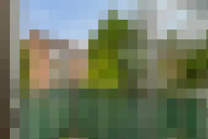 Meidoornsingel 99 C Rotterdam thumbnail 23