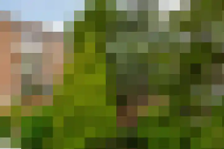 Meidoornsingel 99 C Rotterdam thumbnail 25