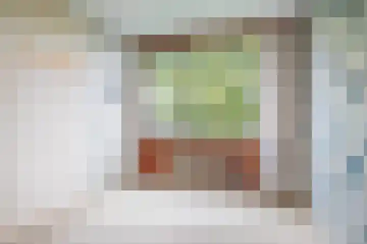 Meidoornsingel 99 C Rotterdam thumbnail 31