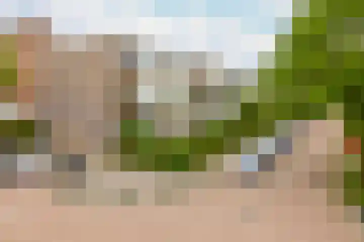 Meidoornsingel 99 C Rotterdam thumbnail 36