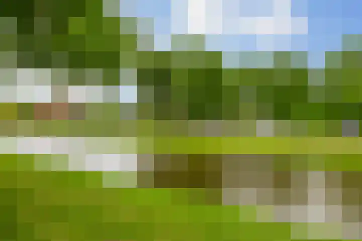 Meidoornsingel 99 C Rotterdam thumbnail 37