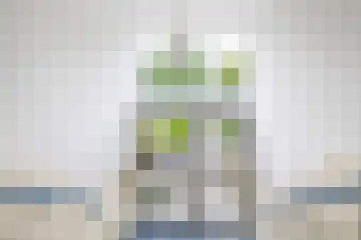 Meidoornsingel 99 C Rotterdam thumbnail 8