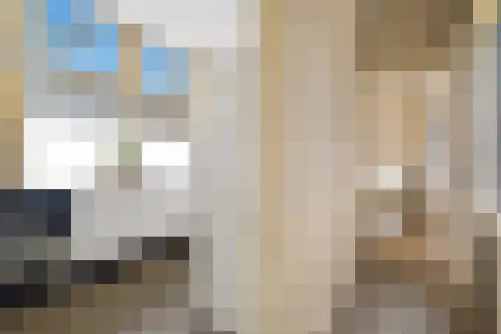 Meidoornstraat 1 Den Haag thumbnail 25