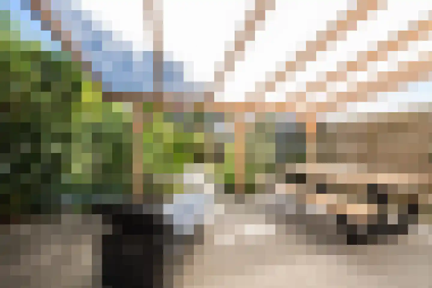 Meidoornstraat 1 Maurik thumbnail 25
