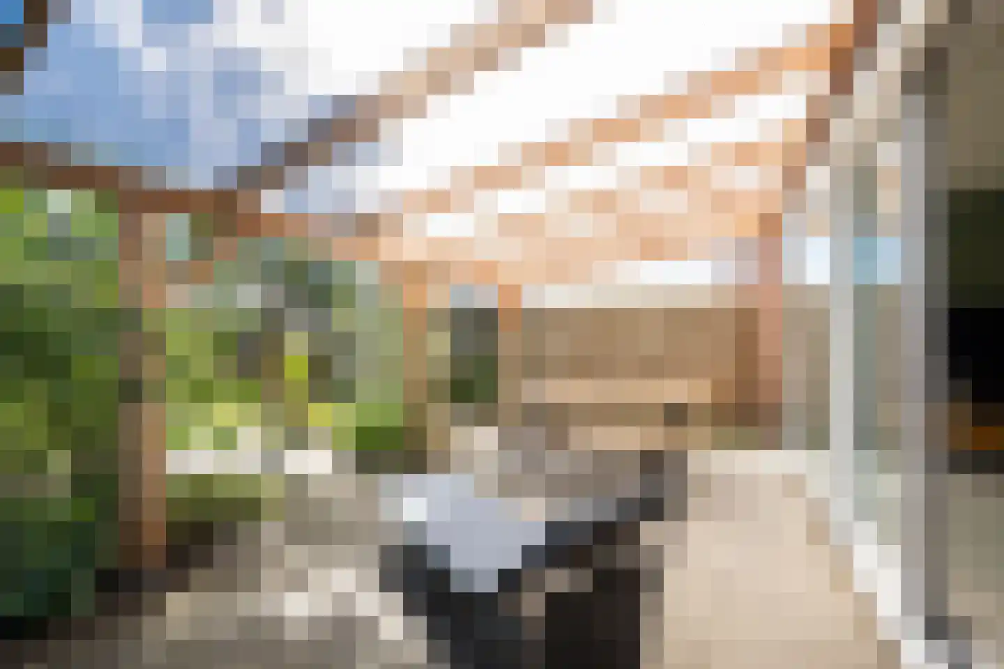 Meidoornstraat 1 Maurik thumbnail 26