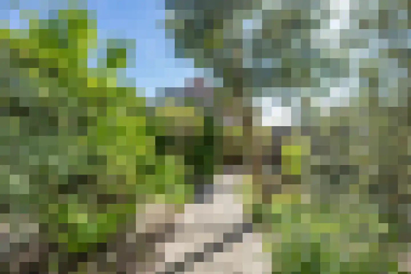 Meidoornstraat 1 Maurik thumbnail 27