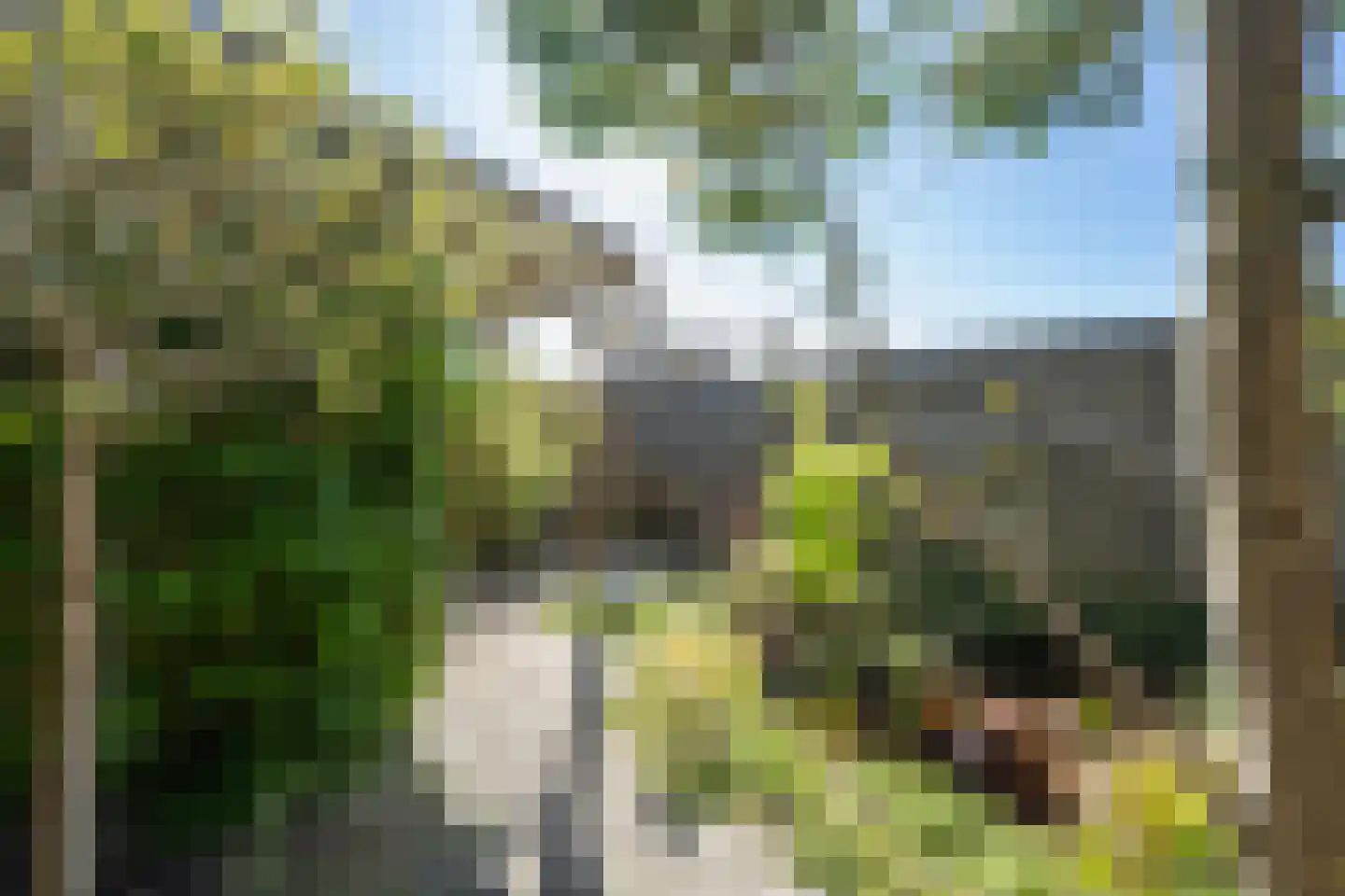 Meidoornstraat 1 Maurik thumbnail 29