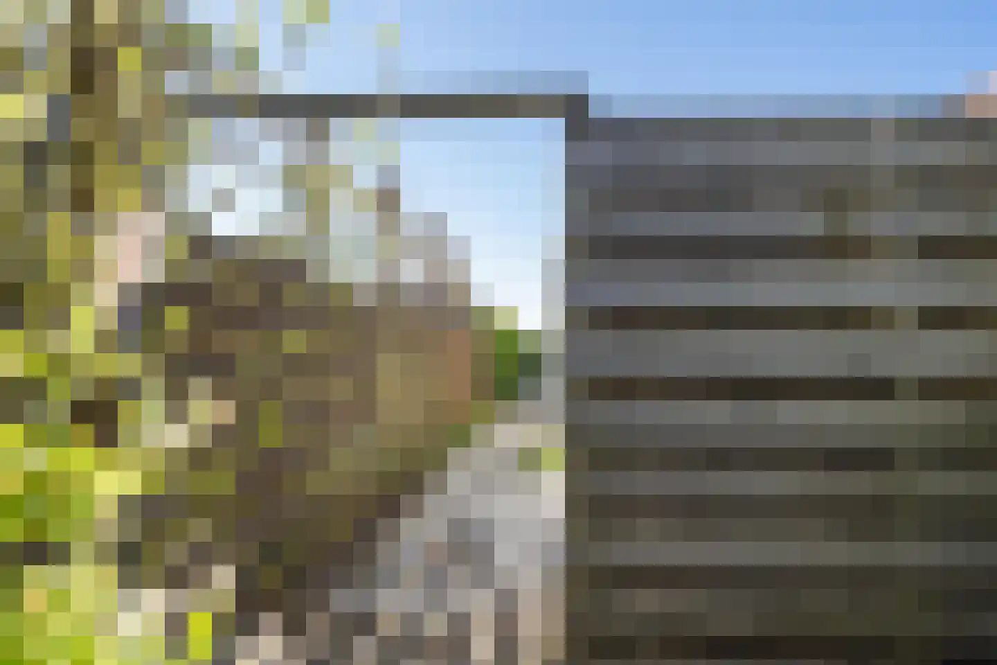 Meidoornstraat 1 Maurik thumbnail 30
