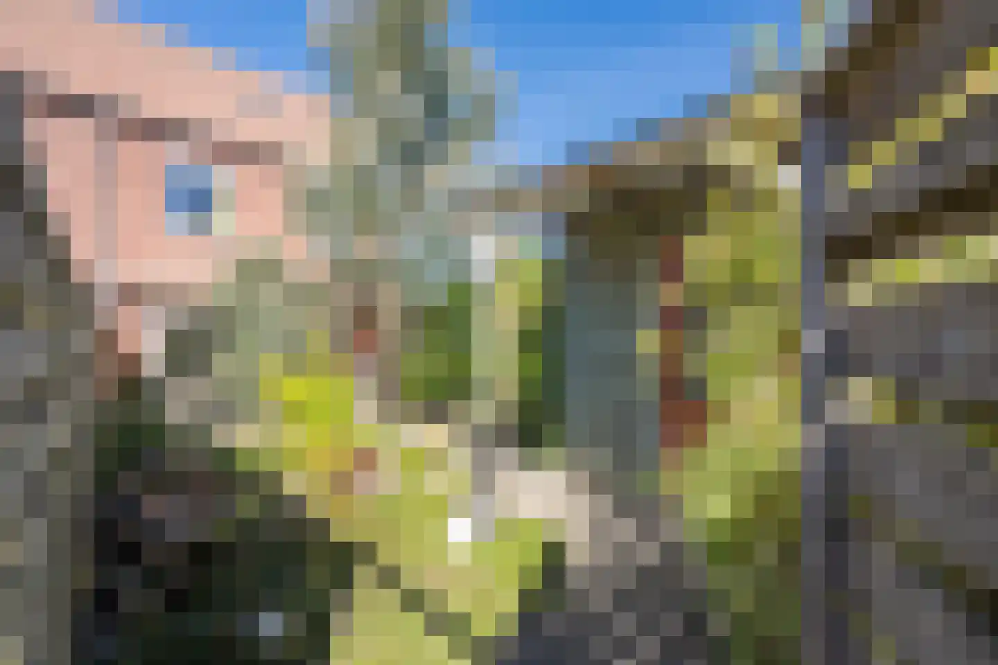 Meidoornstraat 1 Maurik thumbnail 31