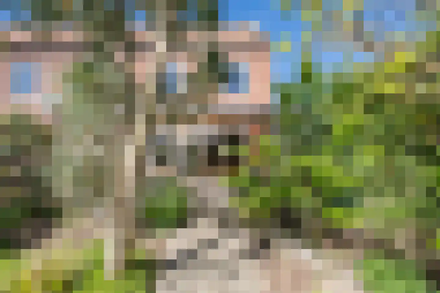 Meidoornstraat 1 Maurik thumbnail 33