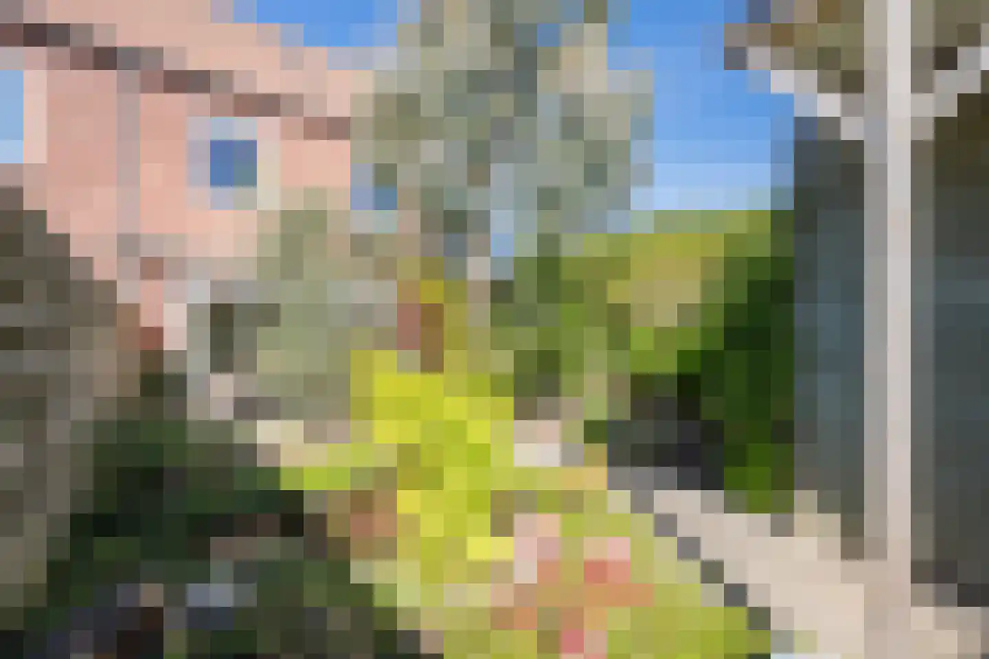Meidoornstraat 1 Maurik thumbnail 35