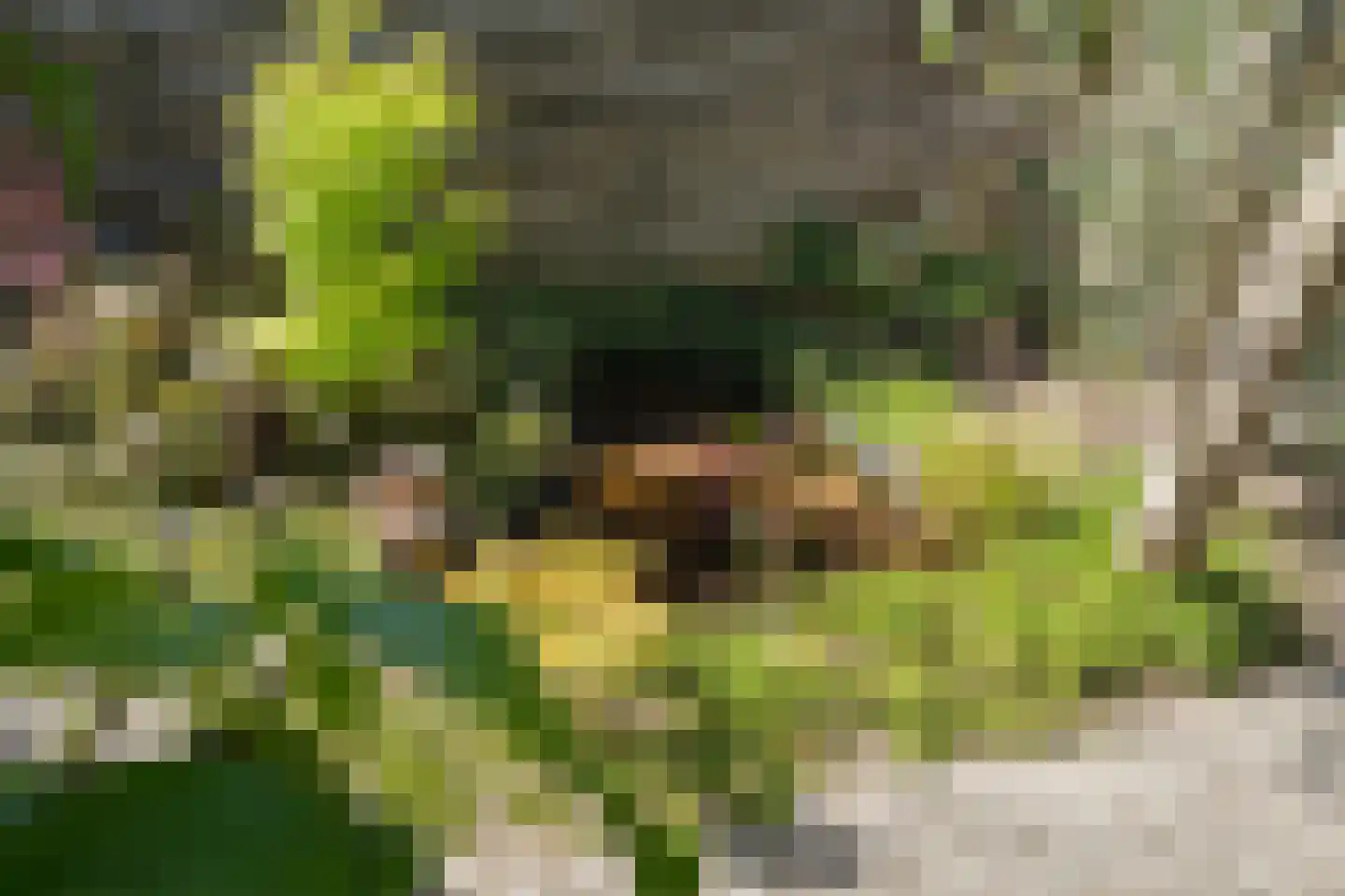 Meidoornstraat 1 Maurik thumbnail 36