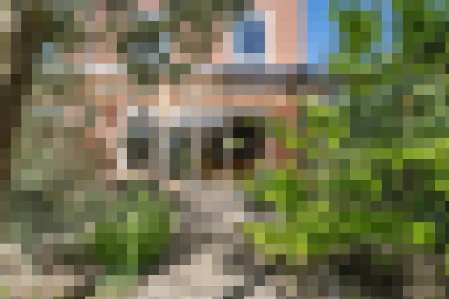 Meidoornstraat 1 Maurik thumbnail 37