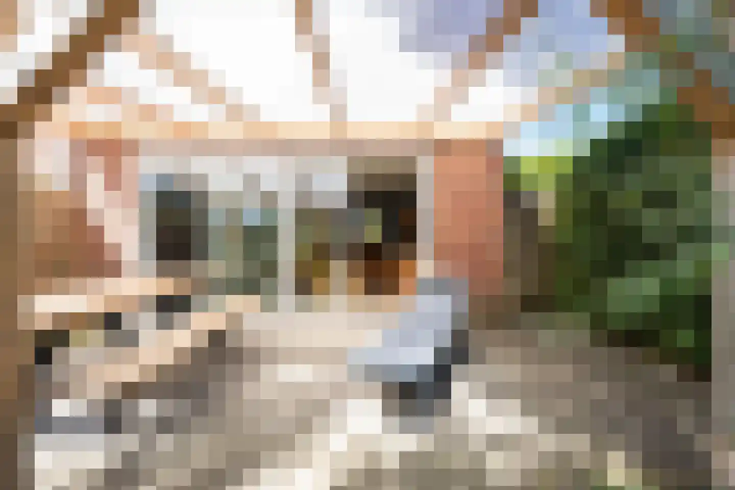 Meidoornstraat 1 Maurik thumbnail 38