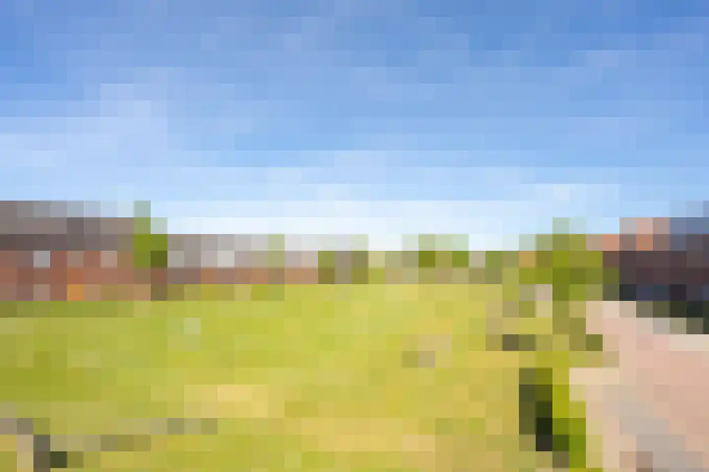 Meidoornstraat 1 Maurik thumbnail 6