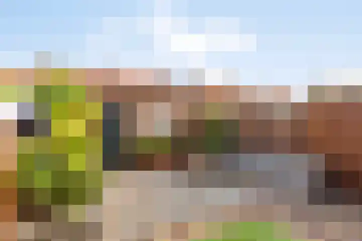 Meidoornstraat 1 Monster thumbnail 17
