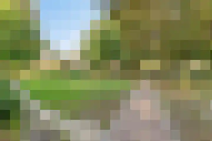 Meidoornstraat 1 Monster thumbnail 25