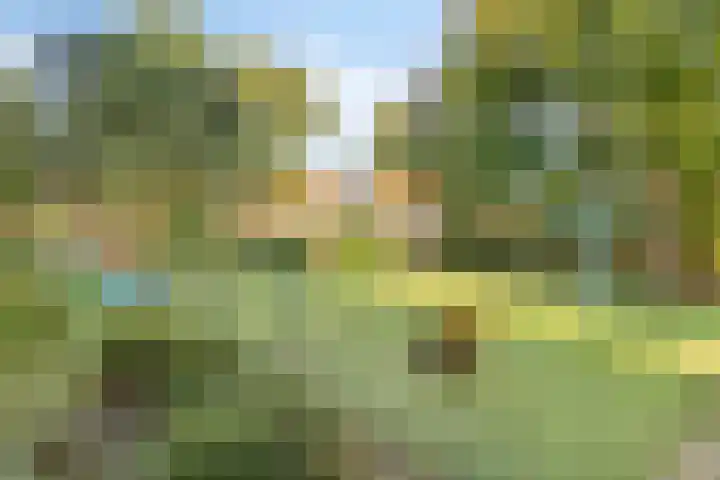 Meidoornstraat 1 Monster thumbnail 26