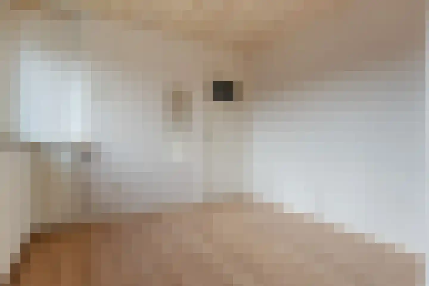 Meidoornstraat 1 Wildervank thumbnail 23
