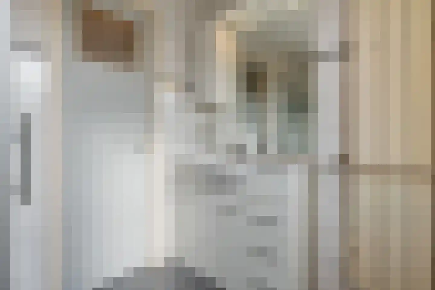 Meidoornstraat 1 Wildervank thumbnail 26
