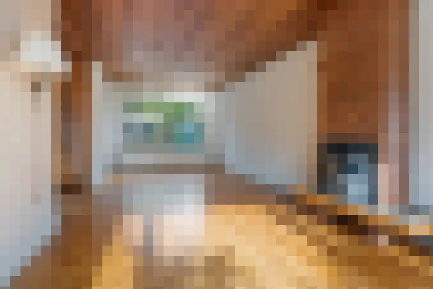 Meidoornstraat 1 Wildervank thumbnail 6