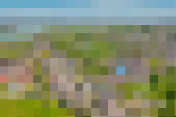 Meidoornstraat 10 Boven-Leeuwen thumbnail 30