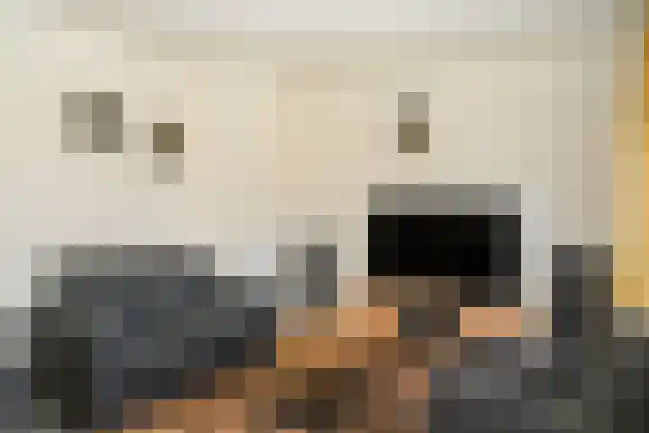 Meidoornstraat 10 Boven-Leeuwen thumbnail 8