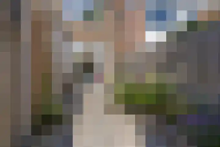 Meidoornstraat 10 Leeuwarden thumbnail 31