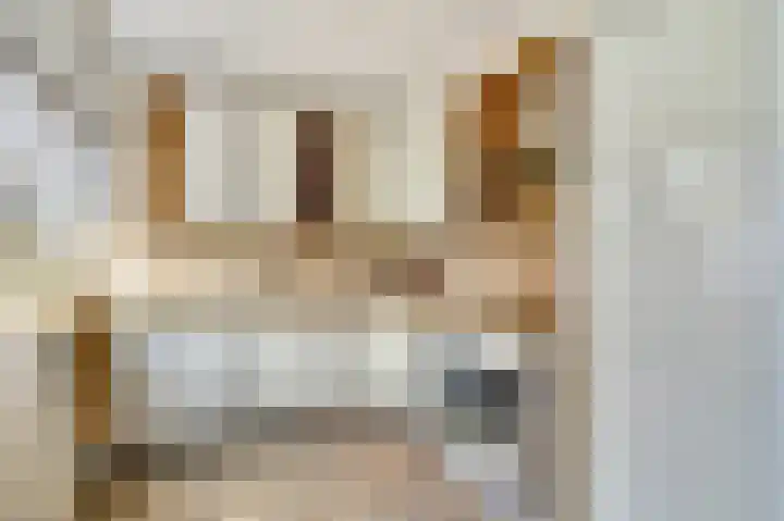 Meidoornstraat 10 Nieuwegein thumbnail 12