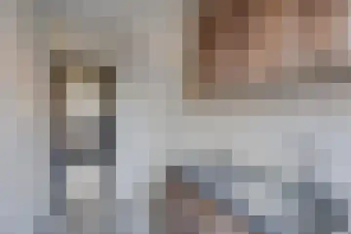Meidoornstraat 10 's-Hertogenbosch thumbnail 10
