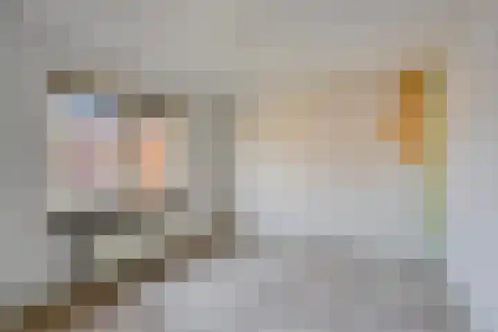 Meidoornstraat 10 's-Hertogenbosch thumbnail 12