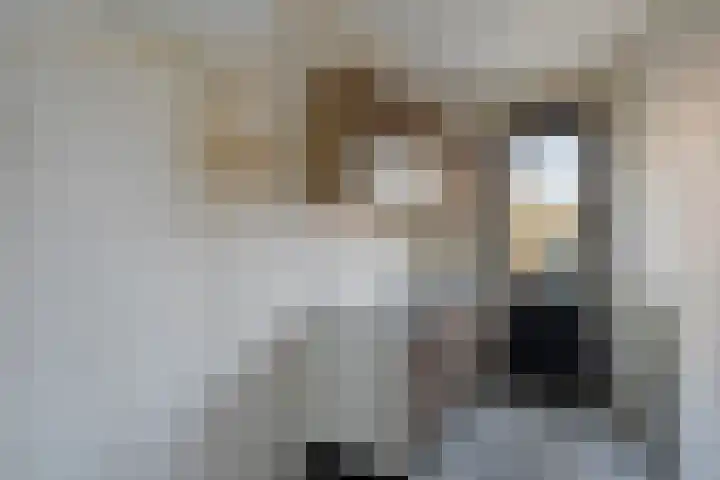 Meidoornstraat 10 's-Hertogenbosch thumbnail 9