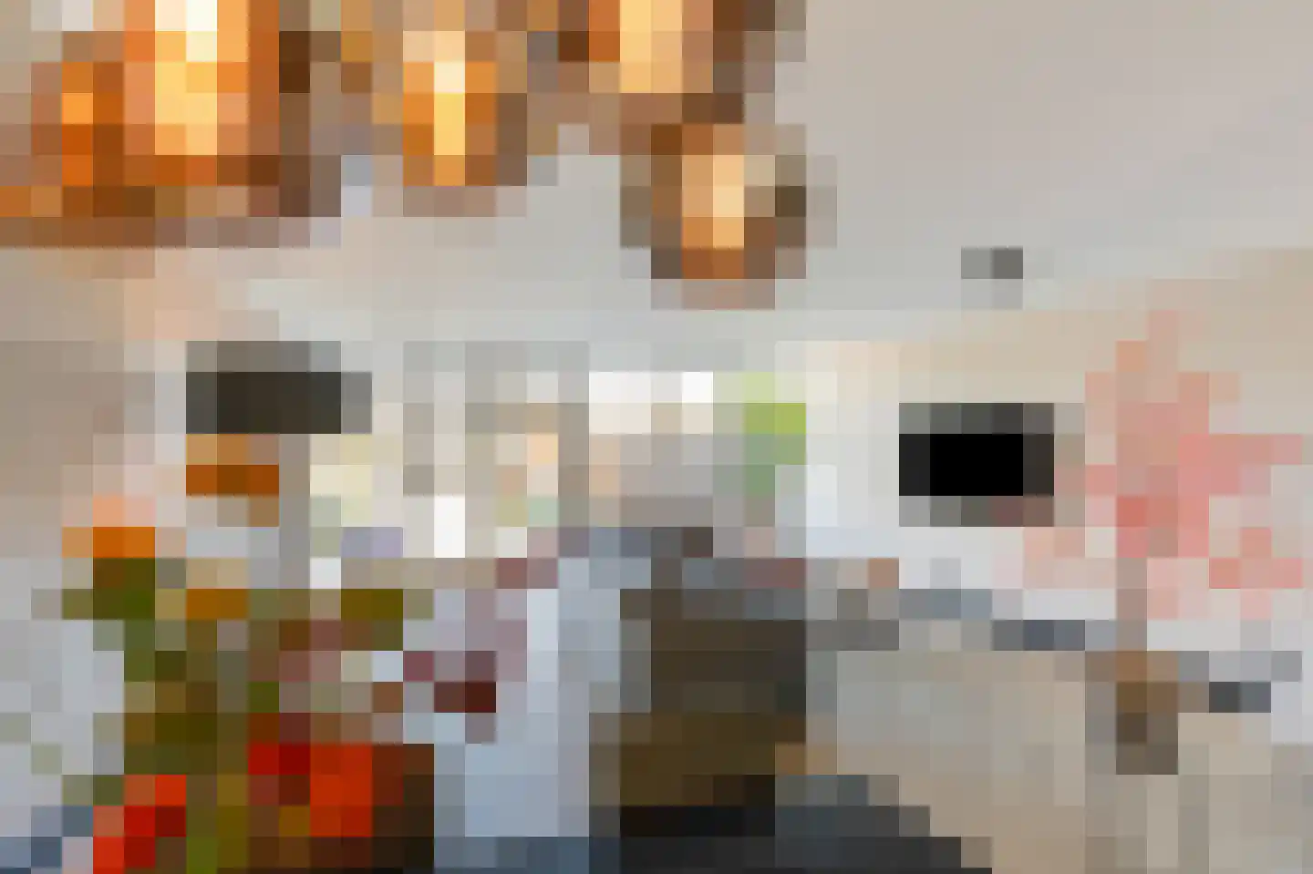 Meidoornstraat 10 Terborg thumbnail 22