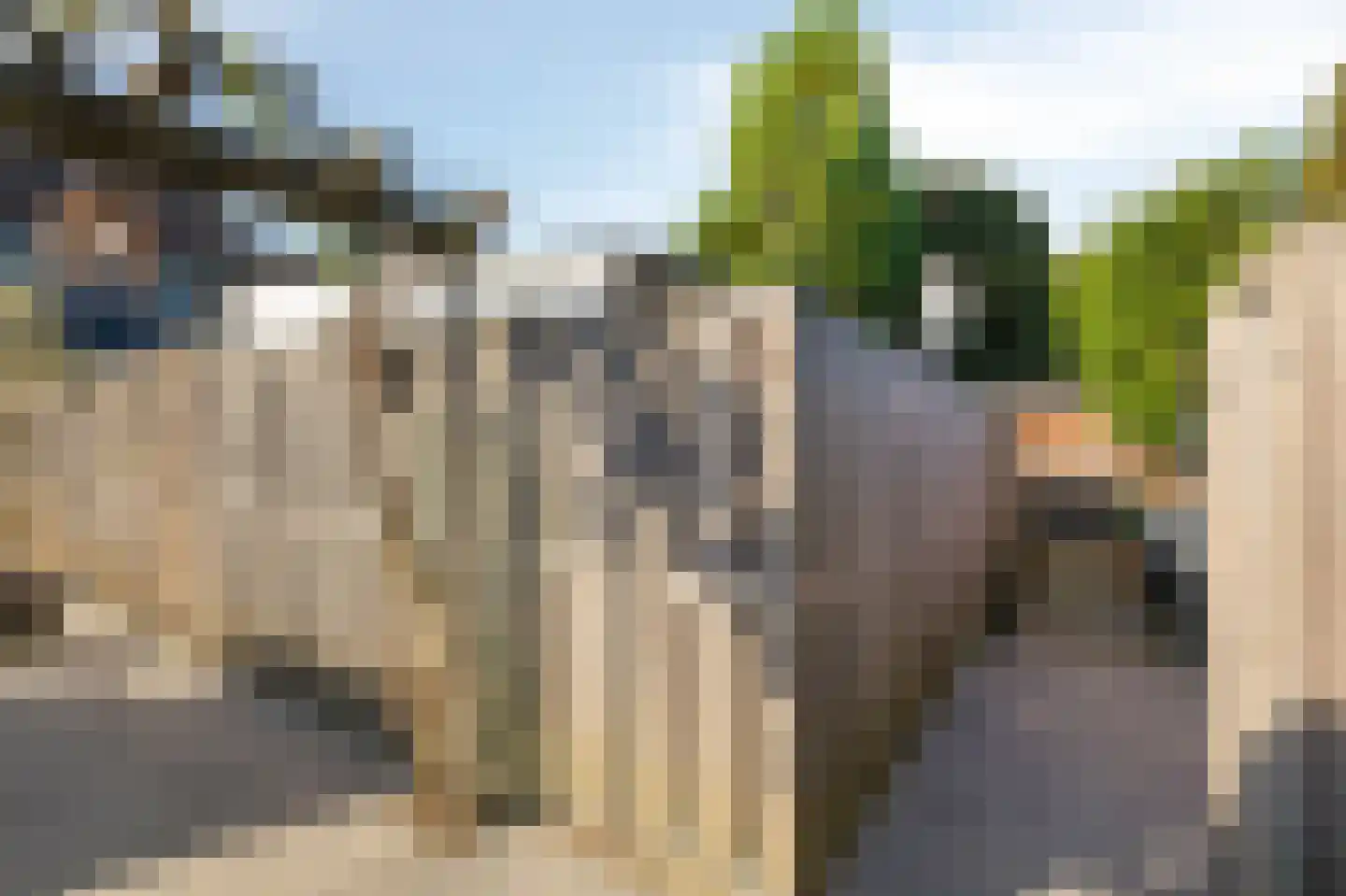 Meidoornstraat 10 Terborg thumbnail 29