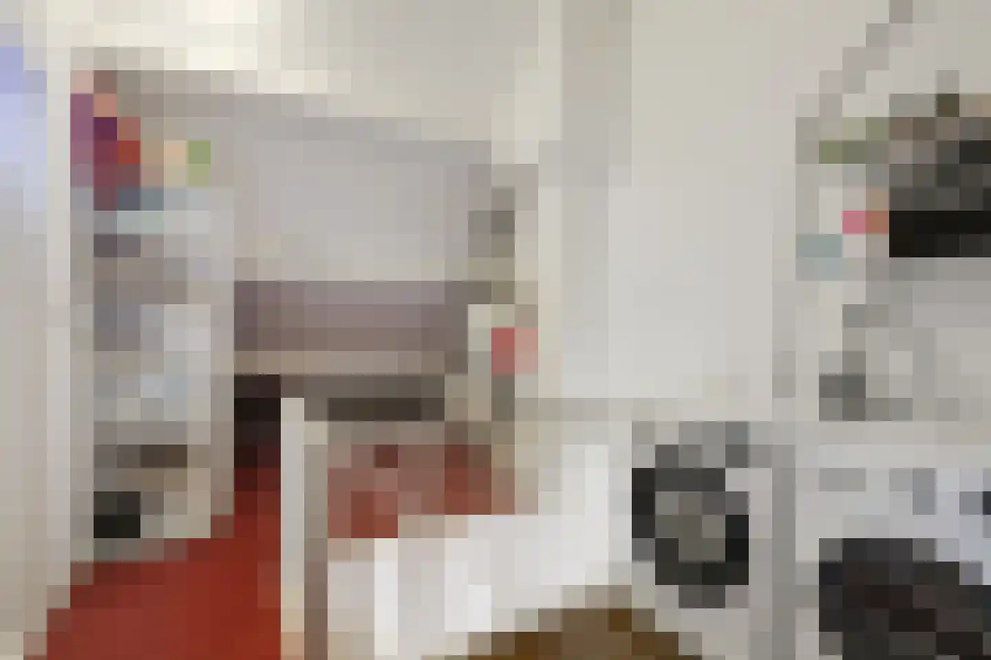 Meidoornstraat 10 Terborg thumbnail 47