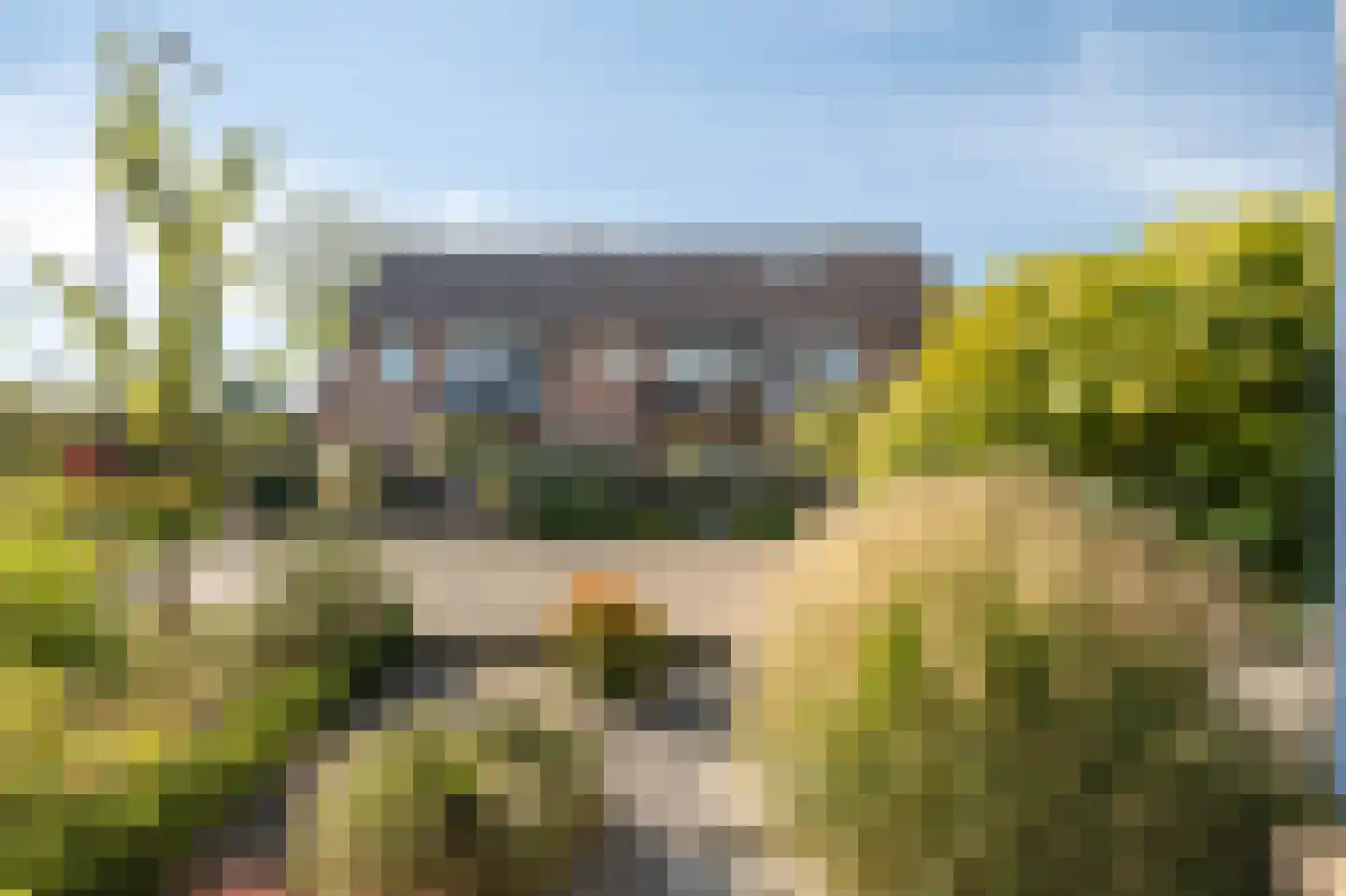 Meidoornstraat 10 Terborg thumbnail 50