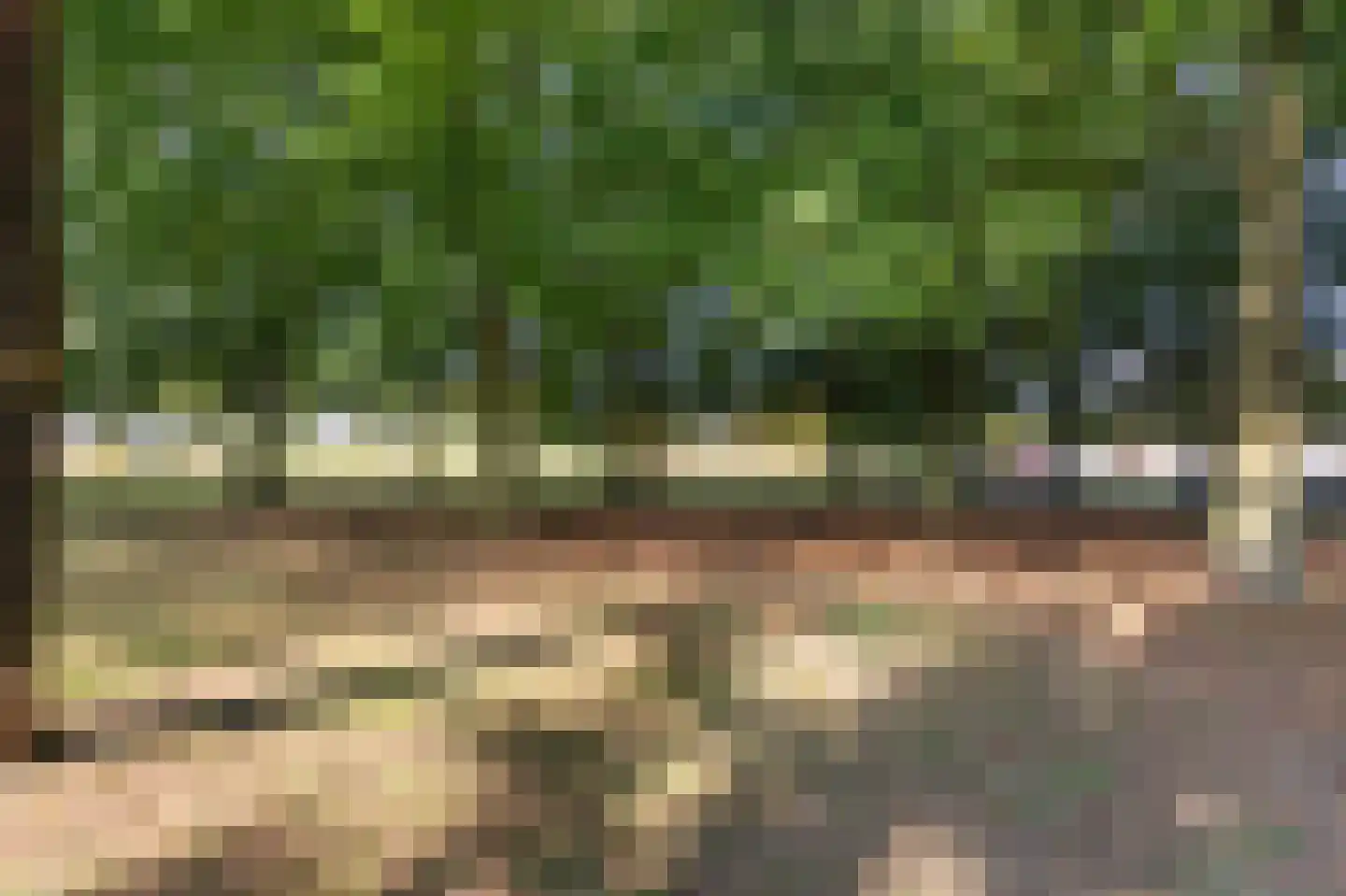 Meidoornstraat 10 Terborg thumbnail 54