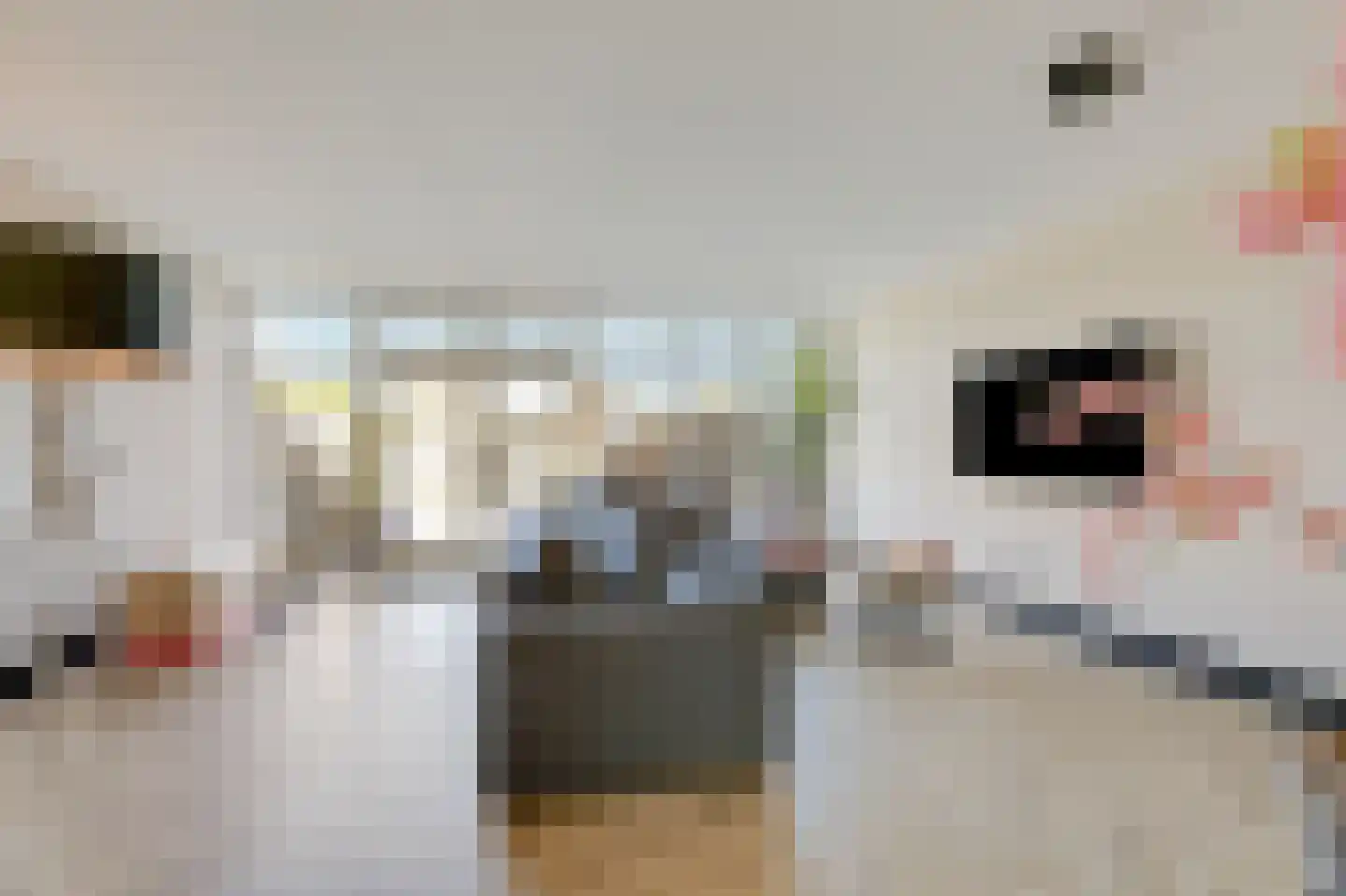 Meidoornstraat 10 Terborg thumbnail 9
