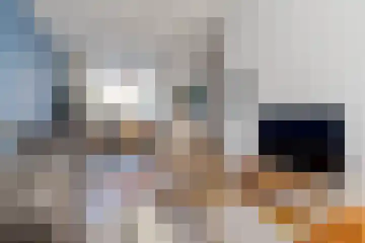 Meidoornstraat 10 Zwolle thumbnail 13