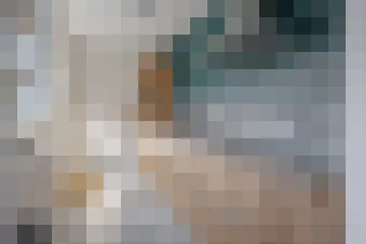 Meidoornstraat 10 Zwolle thumbnail 17