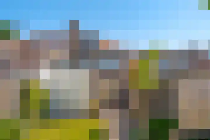 Meidoornstraat 10 Zwolle thumbnail 36