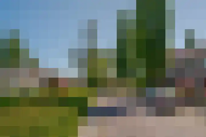 Meidoornstraat 10 Zwolle thumbnail 46