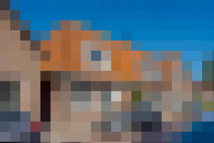 Meidoornstraat 10 Zwolle thumbnail 51