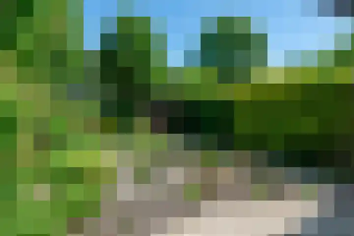Meidoornstraat 11 Bussum thumbnail 31