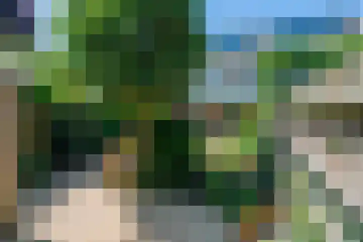 Meidoornstraat 11 Bussum thumbnail 33